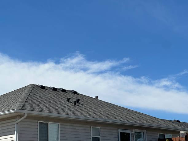 Roof Insulation in Cibecue, AZ